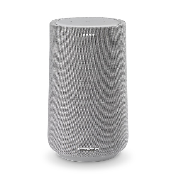 Loa Harman Kardon Citation 100 - Gray