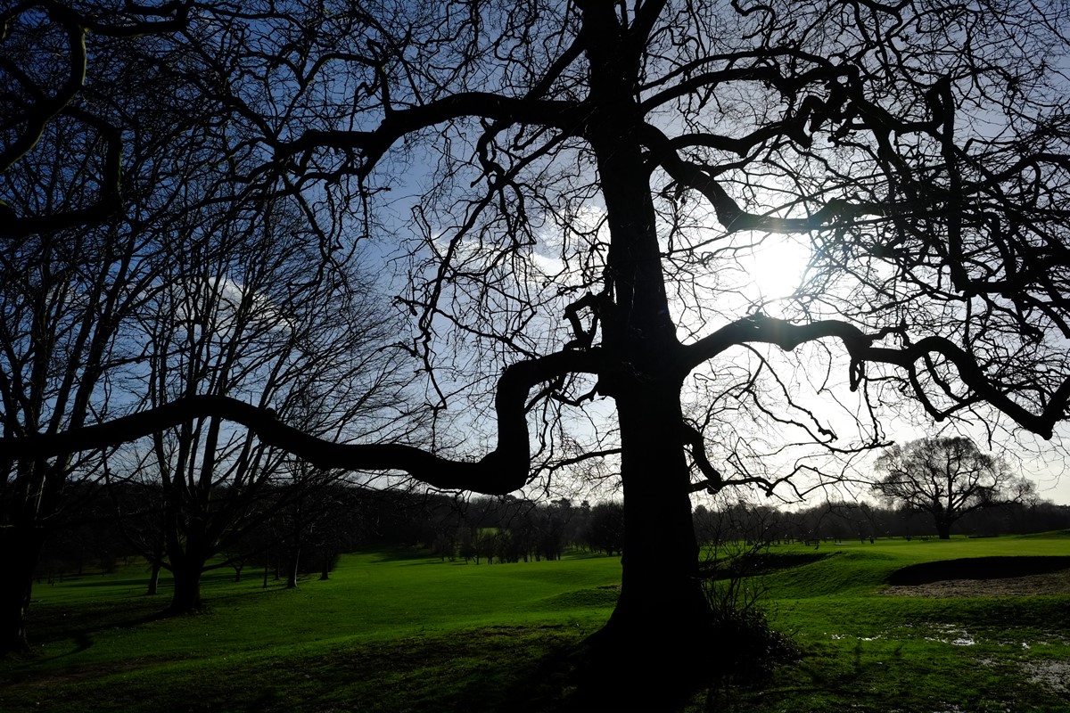 Fujifilm XF14mm F/2.8 R