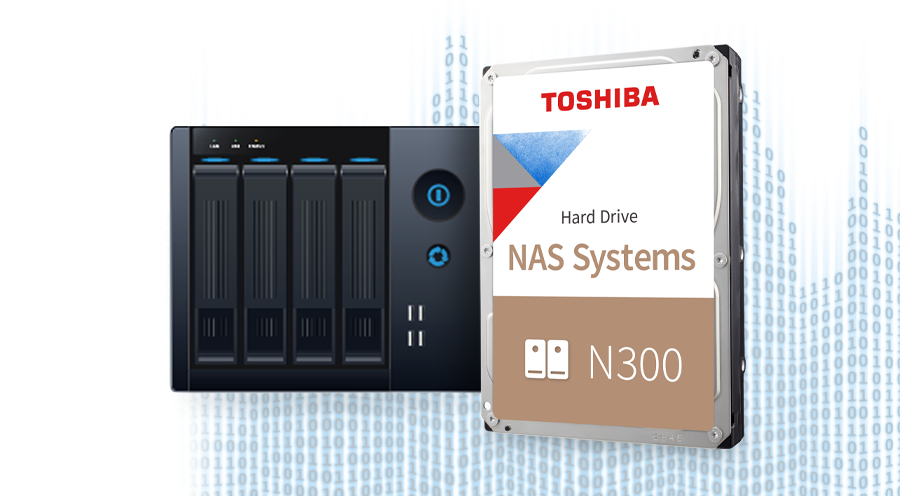 Ổ cứng HDD Toshiba N300