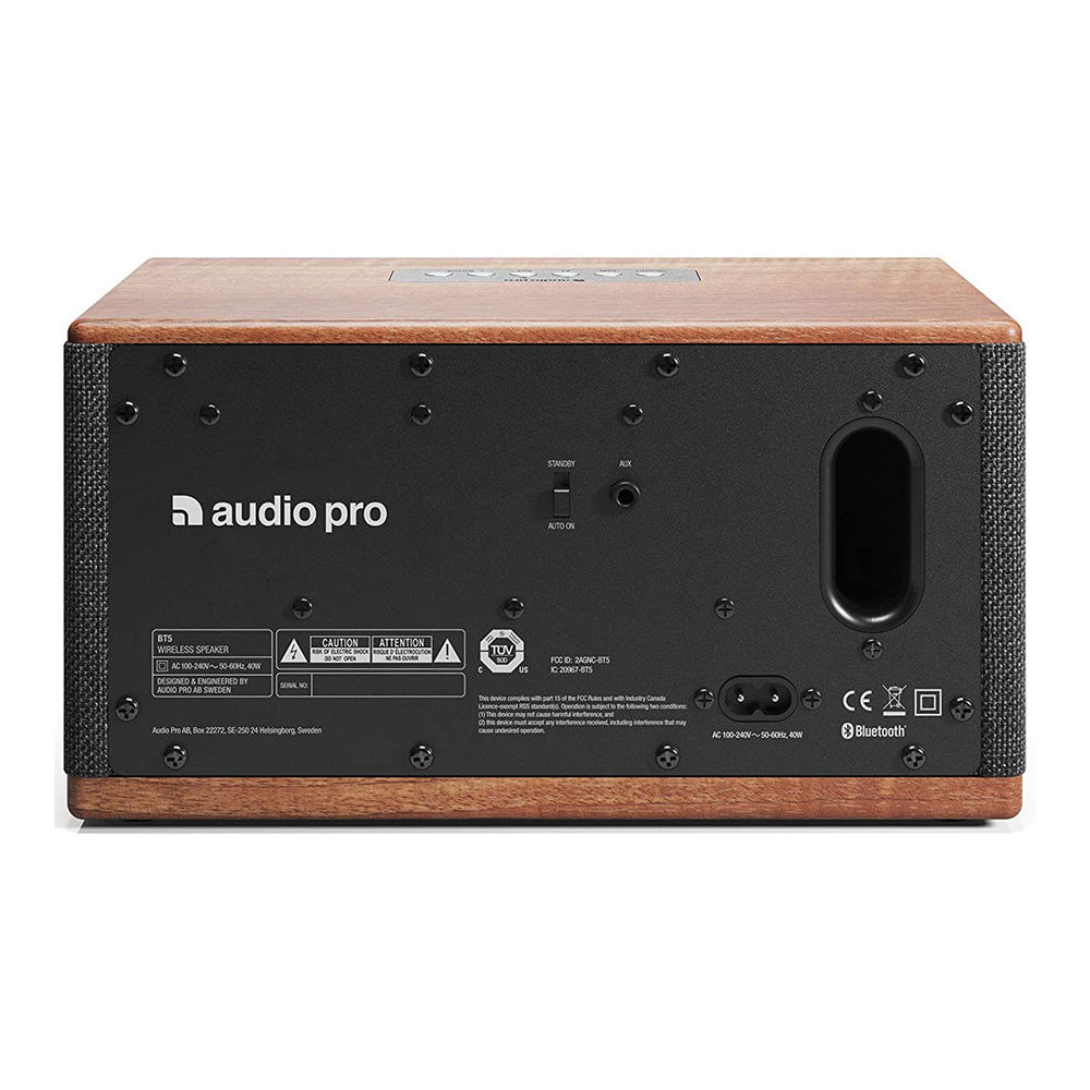 Loa Audio Pro BT5