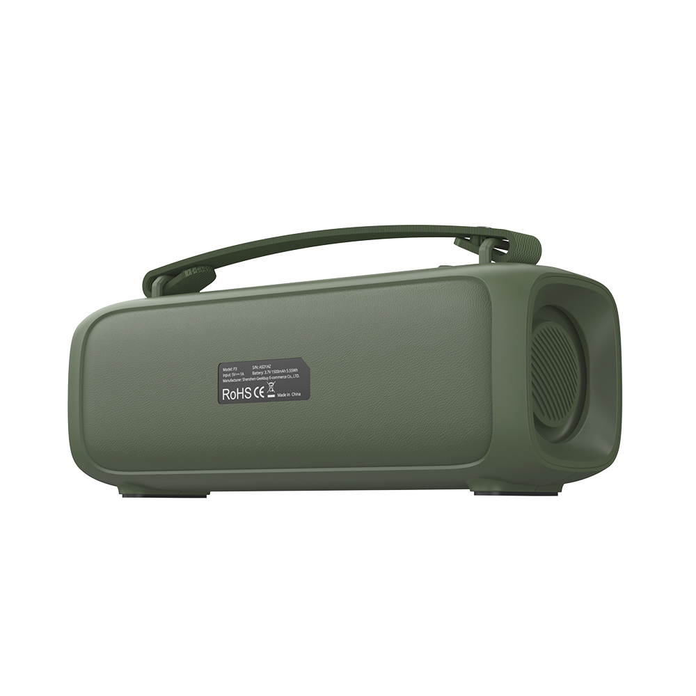 Loa SounArc P3 Green