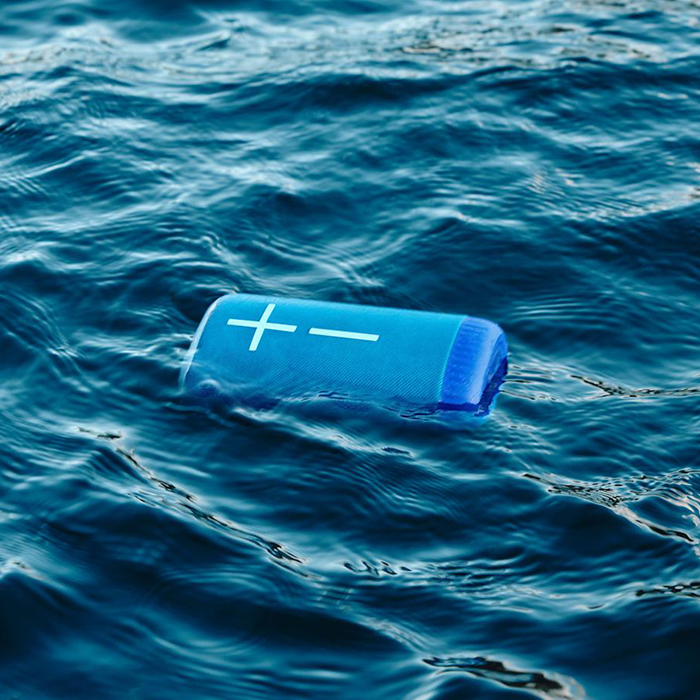 Loa Ultimate Ears EVERBOOM