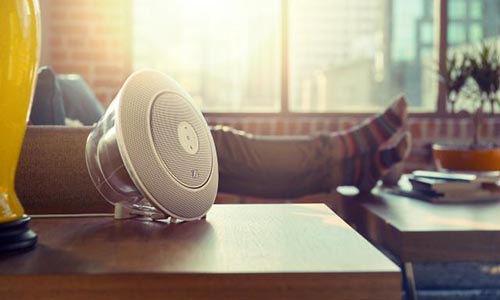 JBL Voyager Speaker