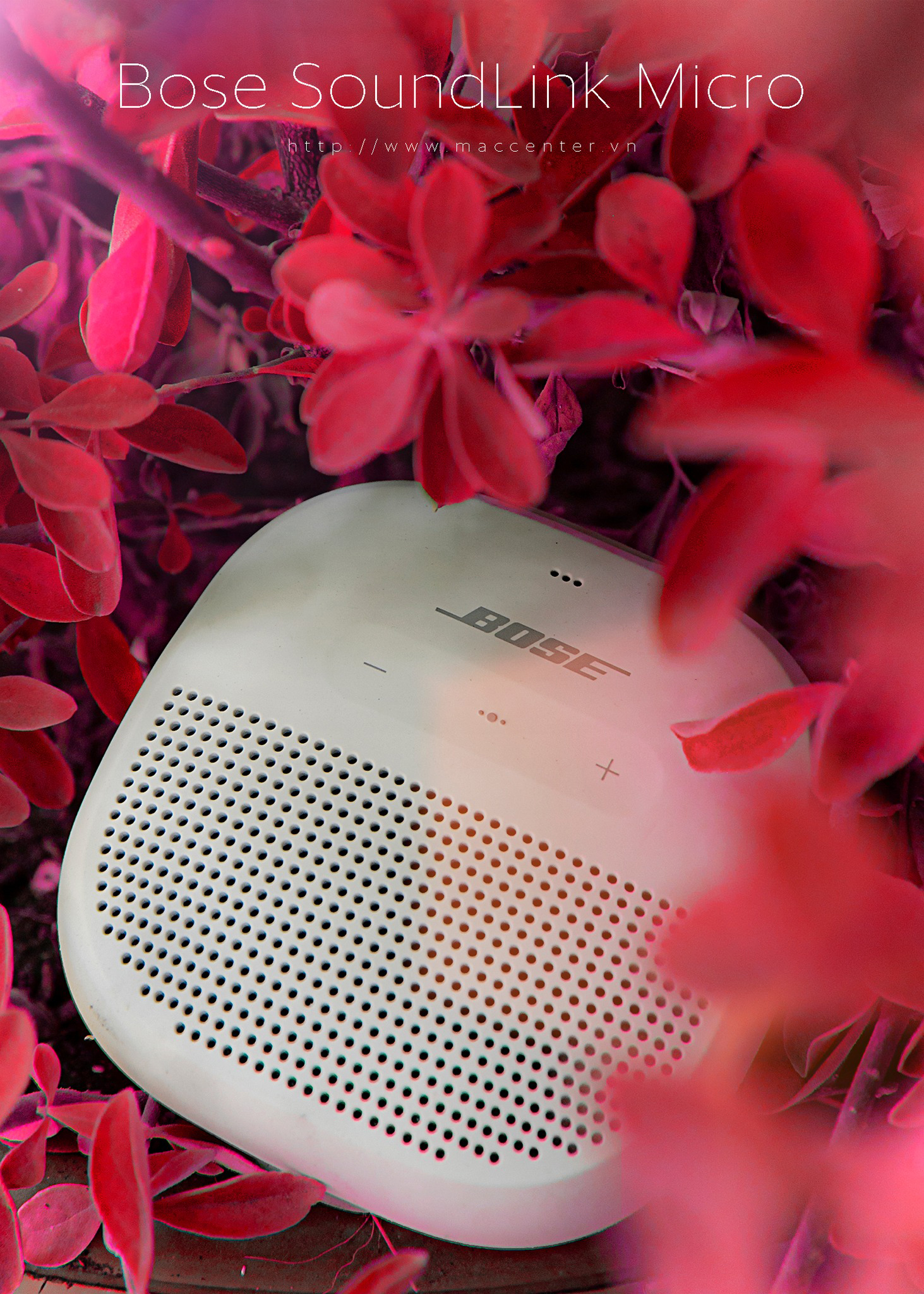 Loa Bose SoundLink Micro