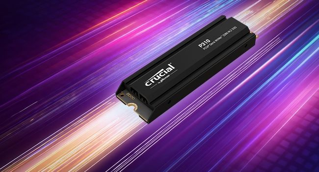 SSD Crucial P310
